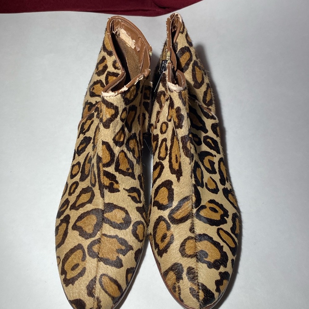 Sam Edelman Leopard Bootiie